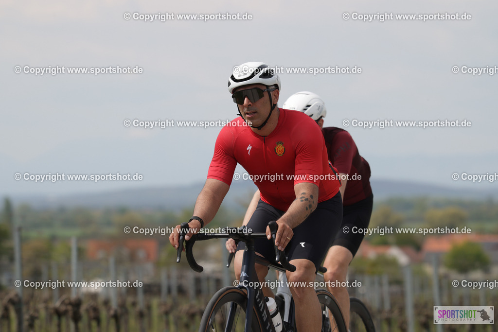 368A4592 | Neusiedlersee Radmarathon 2026@sportshot_your_pictrs #yourpictures#roadtowm2029 #nrm #neusiedlerseeradmarathon #neusiedlersee #neusiedlerseetourismus #burgenland #mörbisch #nrm26 #burgenlandtourismus #voglundco #poweredbyburgenlandtourismus #radsport #rad #marathon #ucigranfondo #visitburgenland #ucigranfondoworldseries