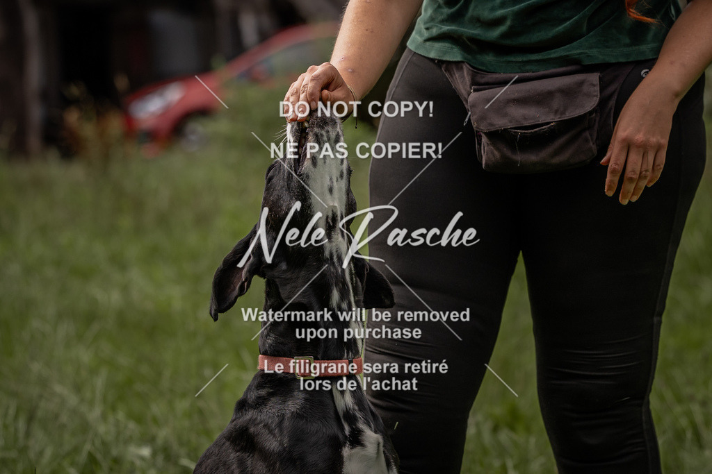 nelerasche_DoN_77 | nelerasche
