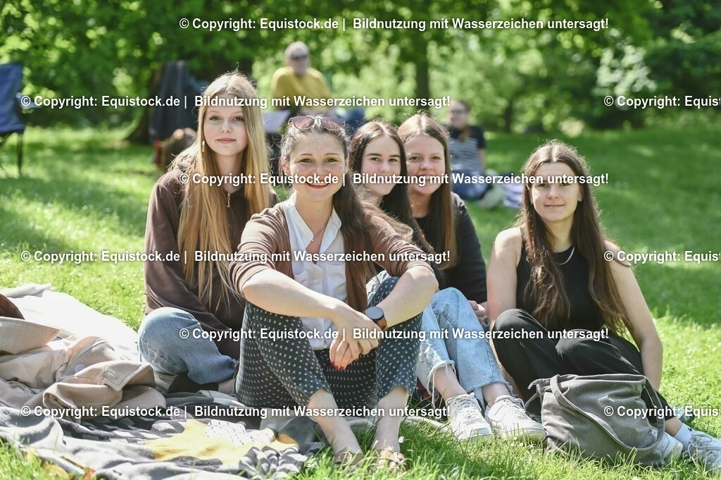 D78_2871 | equistock