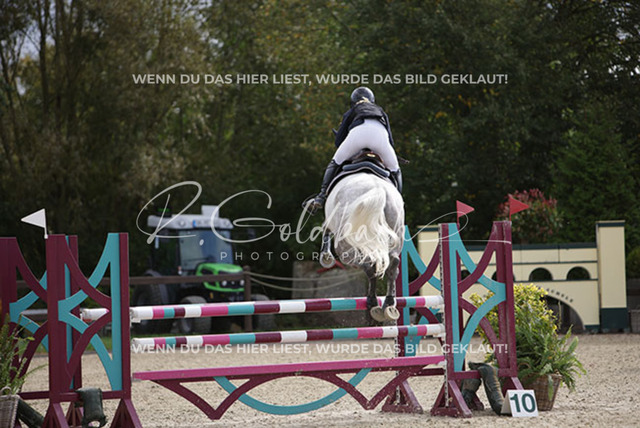 1J2A2067Stefanie Clausen-Kestermann Dr._ Fridakaholo_ Kn462_ Havekost | Foto- und Videografie für alles rund ums Pferd. Hochwertige Bilder und Videos vom Spring- und Dressurreiten, Voltigieren & mehr. Jetzt aktuelle Veranstaltungen und Preise im Shop ansehen. - Realisiert mit Pictrs.com