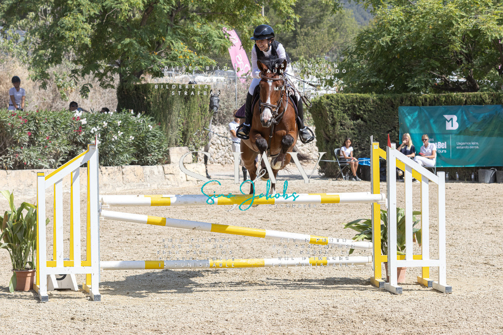 IMG_3808 | s-jay-photography - Realisiert mit Pictrs.com