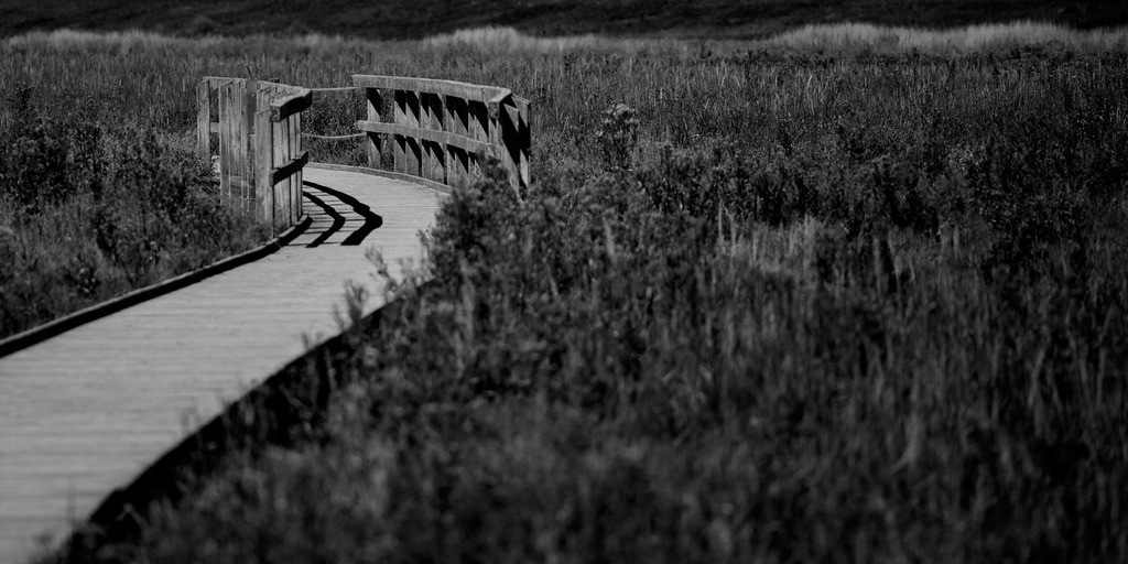 Weg SW | kleinen-fotografie