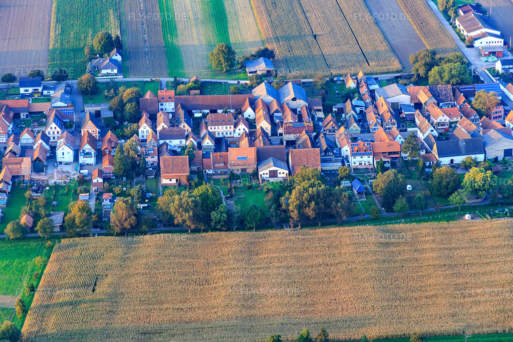 Luftbild: Hauptstr in Freckenfeld im Bundesland Rheinland-Pfalz in Deutschland. Foto: IMG_074049.jpg vom 03.10.2014 durch Werner Riehm/FLY-FOTO.de