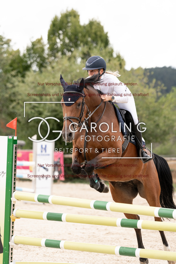 DSC06776 | Springturnier_Teamchallege_Talheim_2026, Clarissa_Schwär, Cranberry_19