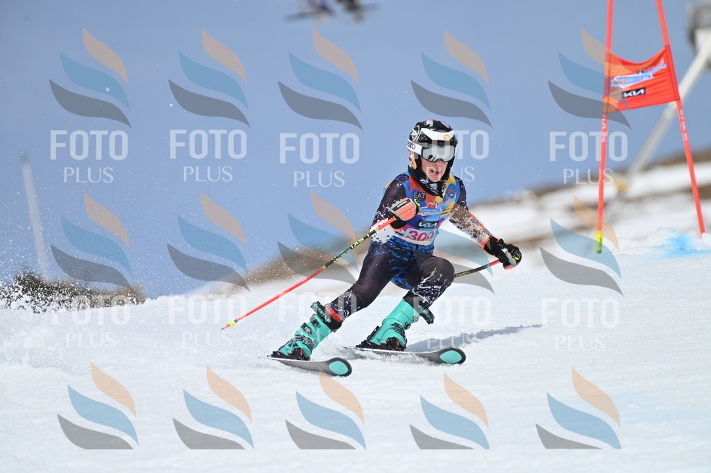 BGV_2920 | holidayphoto