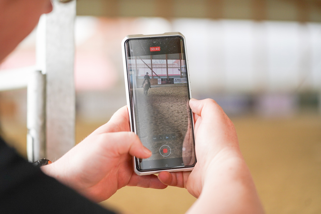 DSC03819 | Pferdegrafie