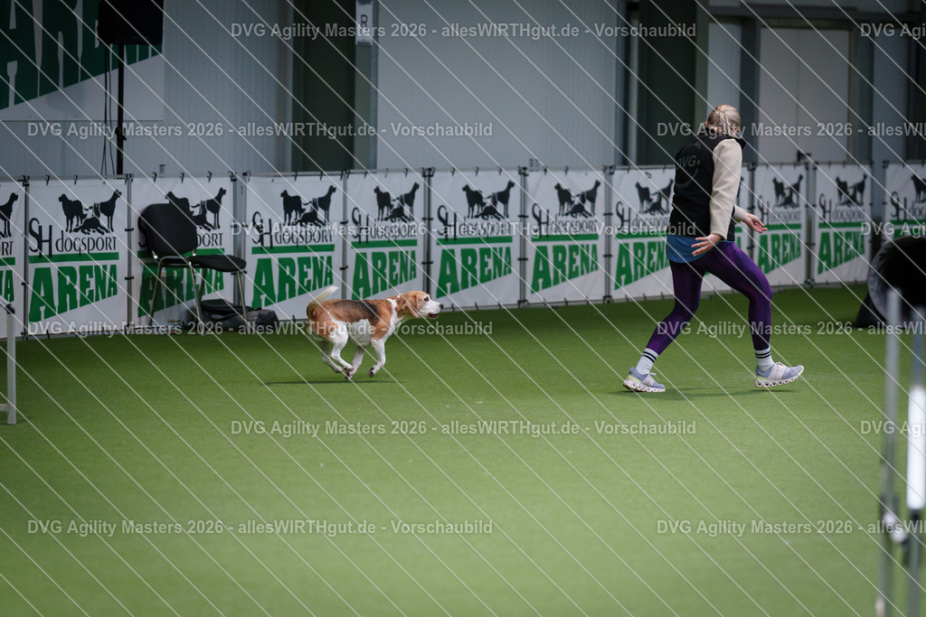 allesWIRTHgut_Tierfotografie-DVG_Agility_Masters_2026-09_20-7R509120 | Professionelle Tierfotografie in Mönchengladbach von Daniel Wirth (allesWIRTHgut). Liebevolle & natürliche Bilder von Hunden & Katzen für unvergessliche Erinnerungen.