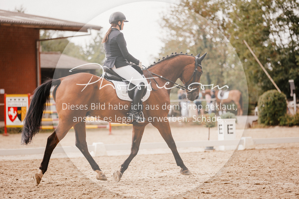3I6A6334 | Stimmungsvolle Portraits und Reitsportfotografie im Ruhrgebiet und im Münsterland.

Pferdefotografie, Hundefotografie, Tierfotografie, Reportagen, Portraits von Tier und Mensch, Turnierfotografie in Bochum, Recklinghausen, Marl, Haltern am See, Dülmen.. - Realisiert mit Pictrs.com