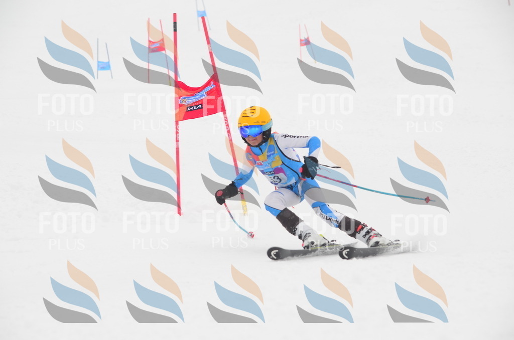 C0979 | holidayphoto