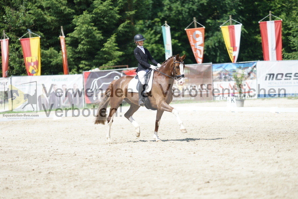 DSC01642 | equestrian-live-com