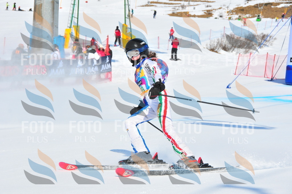 DSC_0694 | holidayphoto