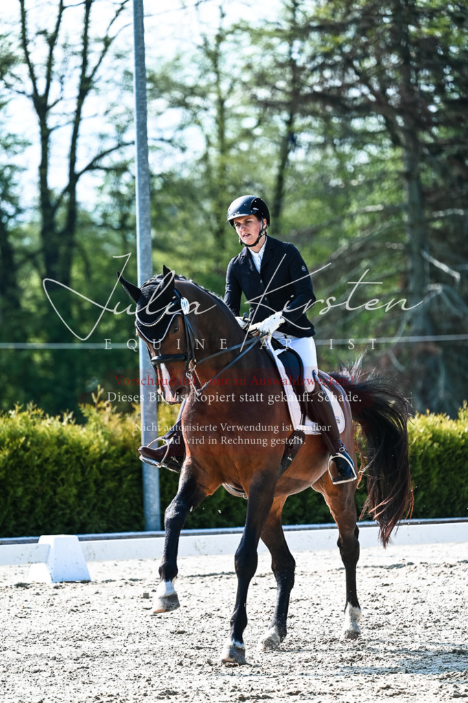 20230513_JK-Röhrsdorf-10-0161 | Pferde- und Turnierfotografie in Westsachsen. Pferdeportraits, Auftragszeichnungen und intuitive Kunst.