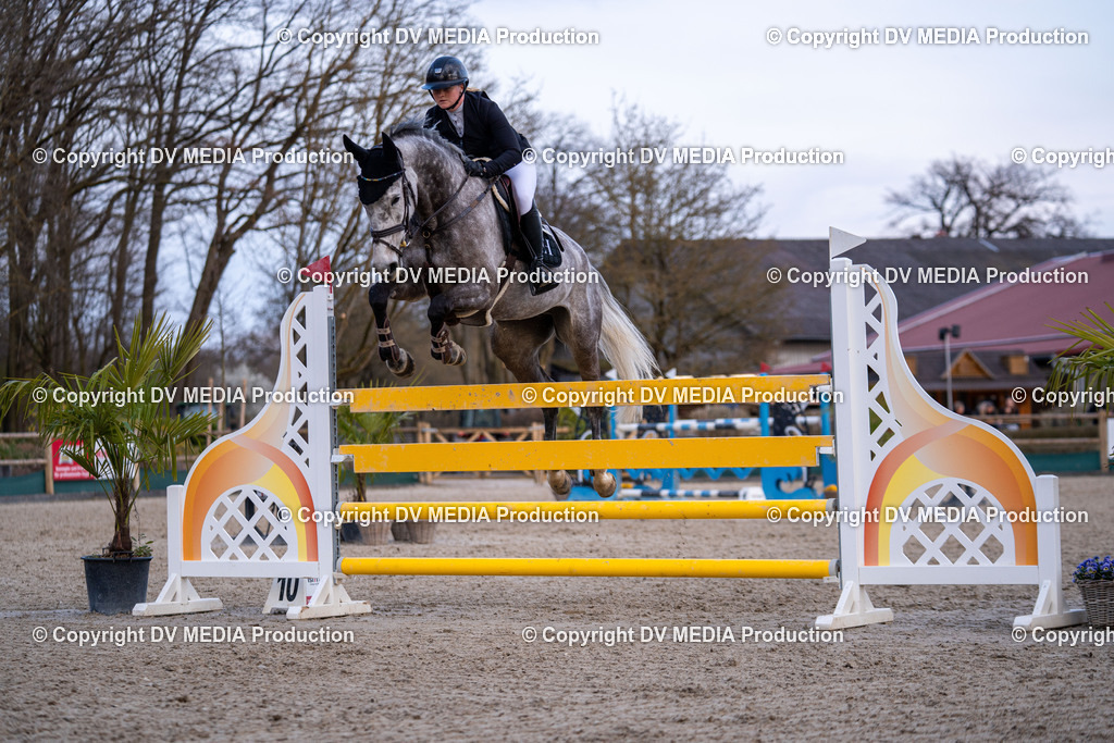 Kranichstein Tag 2-2383 | dv-media-shop - Realisiert mit Pictrs.com