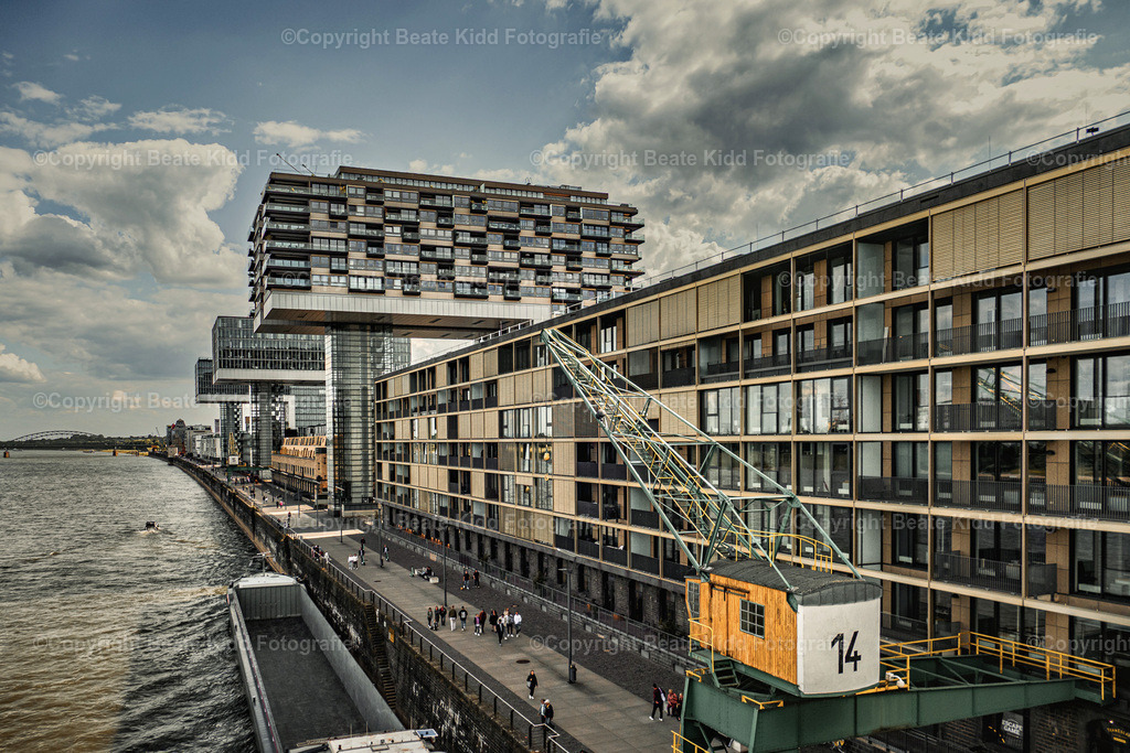 P1400103 | beatekidd-fotografie - Realisiert mit Pictrs.com