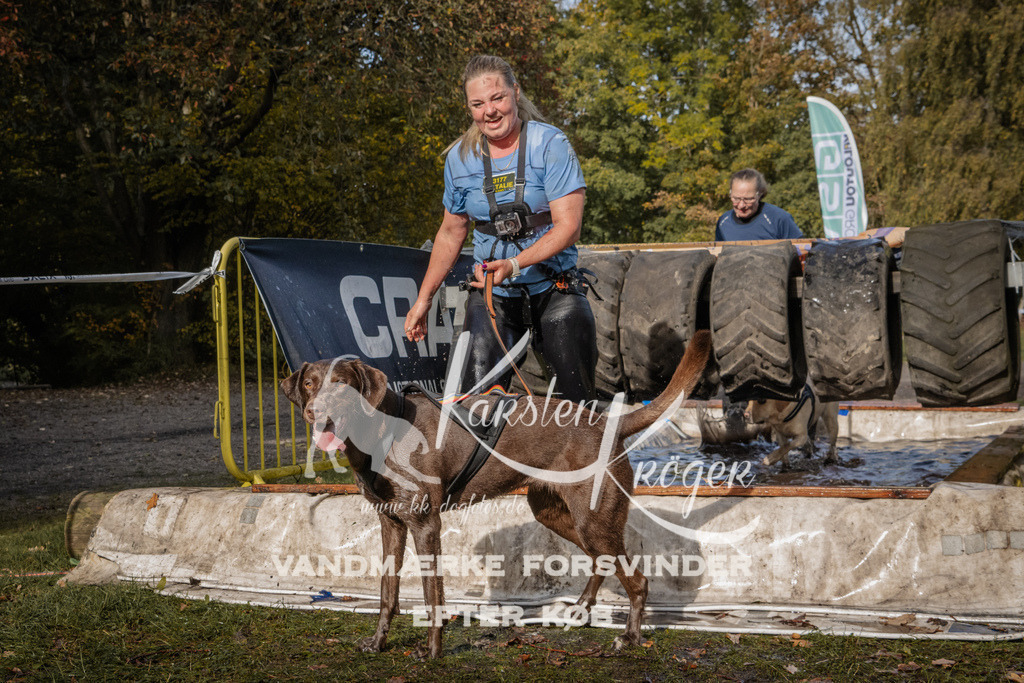 1401_ZZ93815 | kk-dogfotos