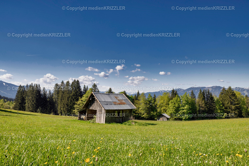 _J3A9005 | medienkrizzler - Realisiert mit Pictrs.com