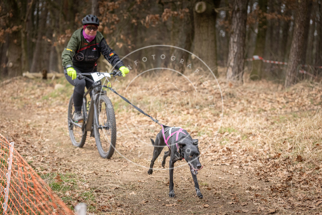 Pfotenfotografie_DV3A1931 | Hundefotografie, Tierfotograf, Pfotenfotografie, Fotoshooting Hund, Hunde Portrait, Hundesport, Hundeportraits, Heideshooting, Hunde, Sportfotograf, Hundefotograf, Turnierhundsport, THS,  - Realisiert mit Pictrs.com