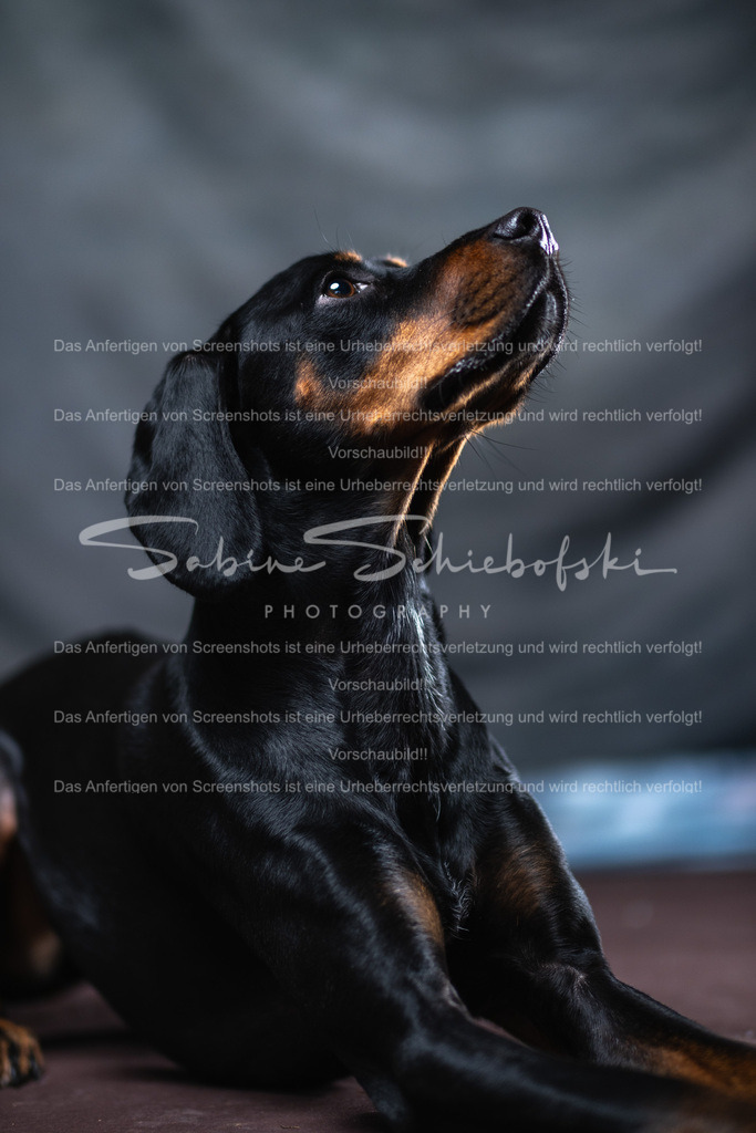 DSCF4432 | People- und Tierfotografie, Imageaufnahmen, Veranstaltungsfotografie und Wandbilder aus der Natur ★ Made in Germany ✔️ Druck + Downloads ✔️ Naturfotografie in Top Qualität ★ schneller Versand, weltweite Lieferung! - Realisiert mit Pictrs.com