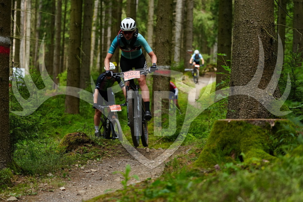 FC100431 | Fotogalerie der Treibjagd im Dunkelwald - Dein MTB Etappenrennen im Erzgebirge - Realisiert mit Pictrs.com