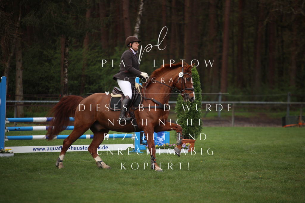 IMGT2294 | pl-fotografie