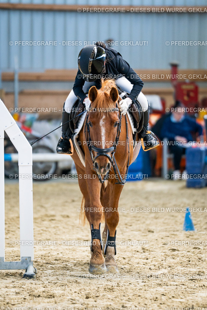 DSC01987 | Pferdegrafie