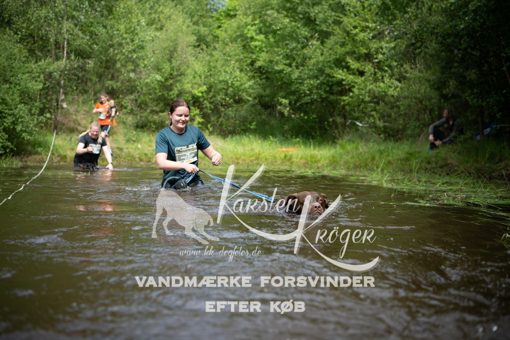 1122DKK990001 | kk-dogfotos