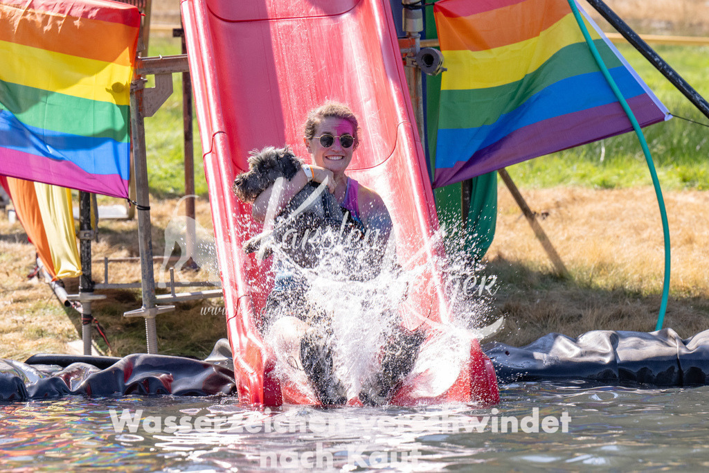 1215_ZZ91263 | kk-dogfotos