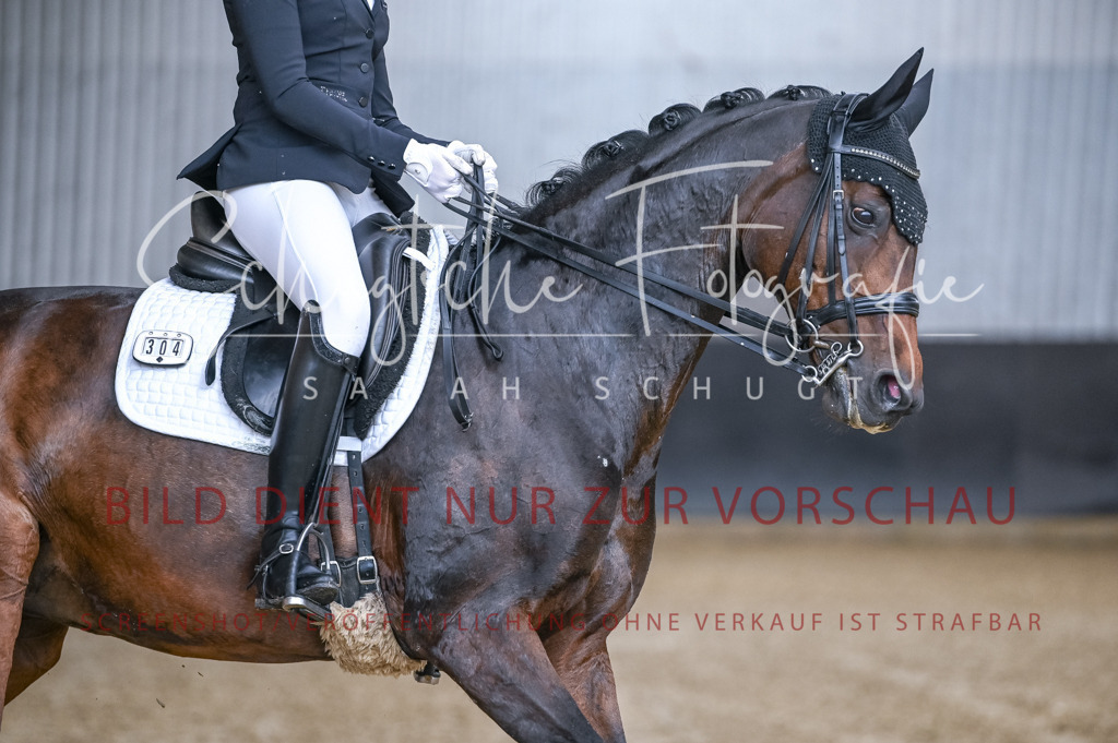Schugtsche-Aluta25-56.Dressurprf.L1Kand.-59 | Schugtsche Fotografie - Realizzato con Pictrs.com