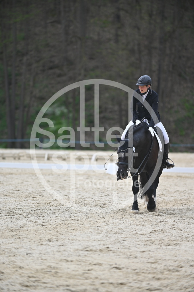 DSC_5217 | sattelsport - Realisiert mit Pictrs.com