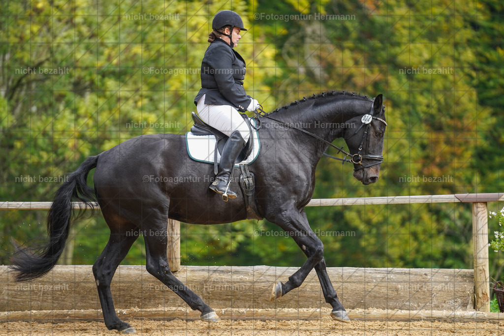 20221007-FAH09840 | Diessen am Ammersee, 2022, Dressur- und Springturnier, Reitsportbilder, Turnierfotografen Bayern, Pferdefotografen, Fotoagentur Herrmann, Turnierbilder