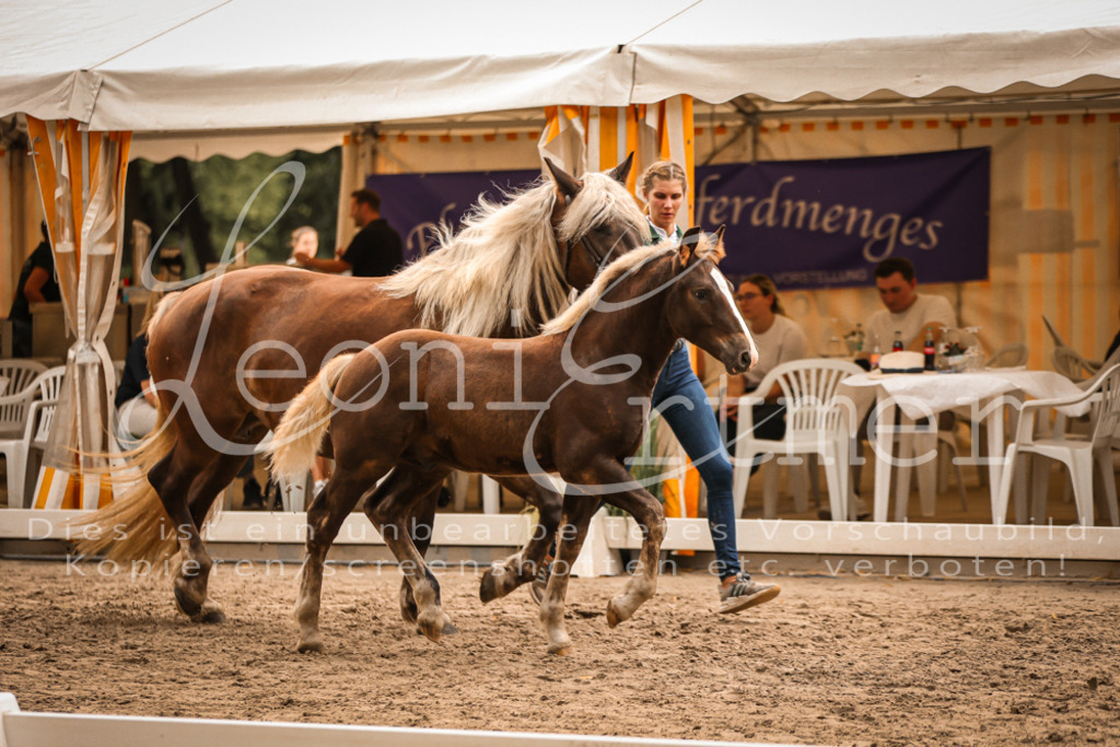 SaHF00099 | Leoni Ertmer Photography - Realisiert mit Pictrs.com