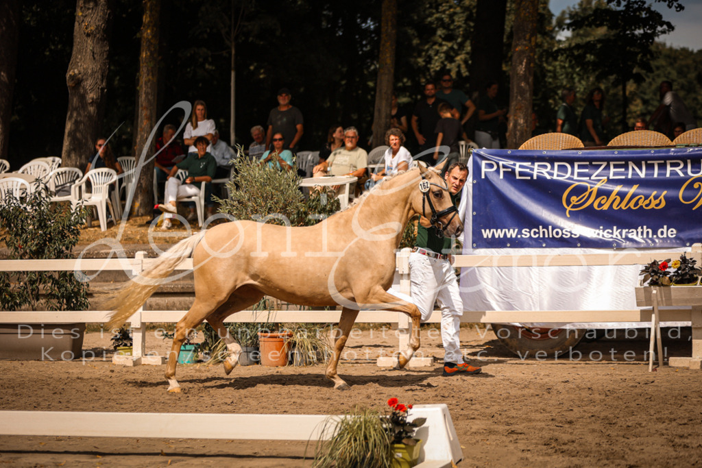 11.So00099 | Leoni Ertmer Photography - Realisiert mit Pictrs.com