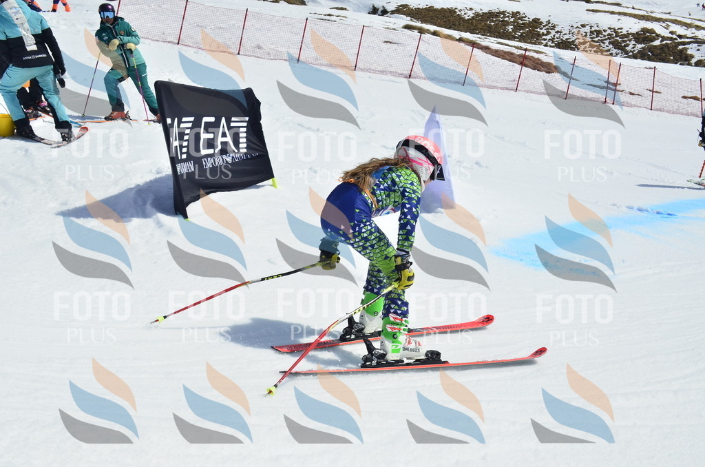 _ELE1251 | holidayphoto