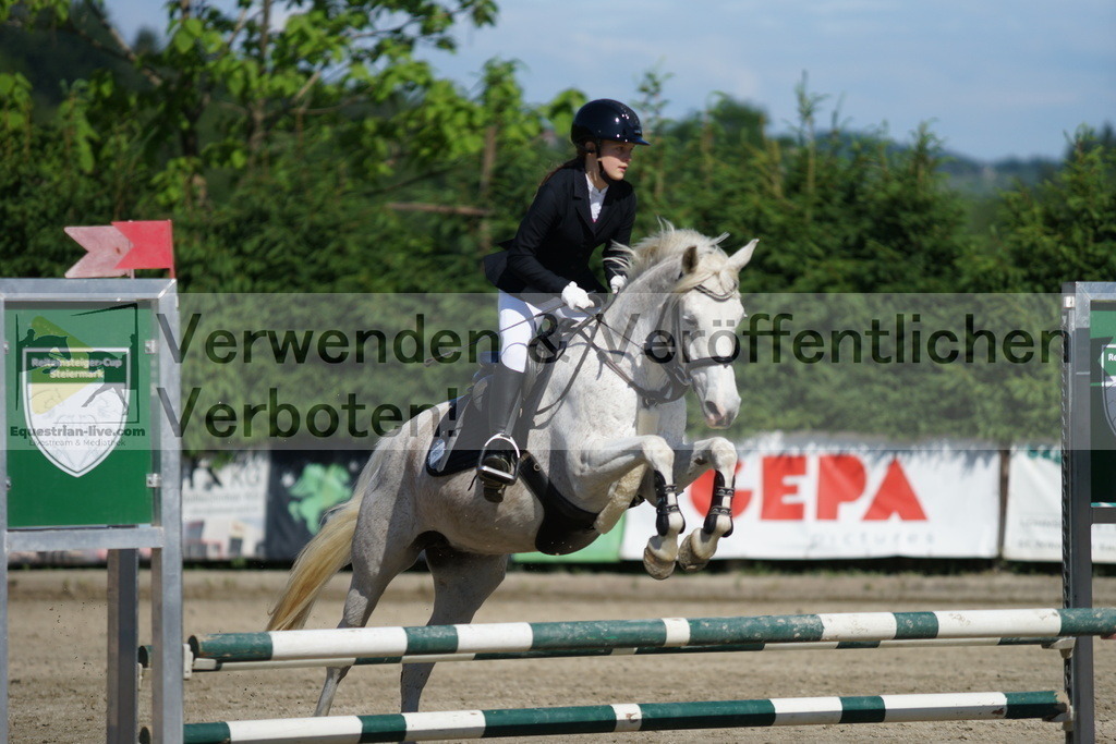 DSC06119 | equestrian-live-com