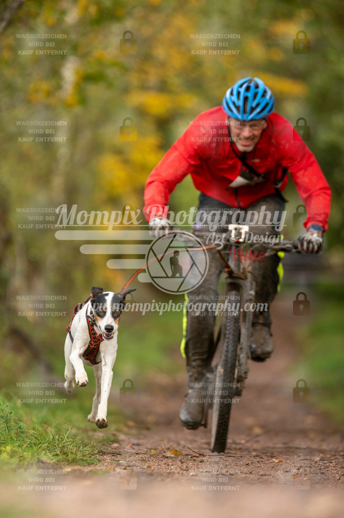 TSB_2023_E4_Bike-43 | PayLife