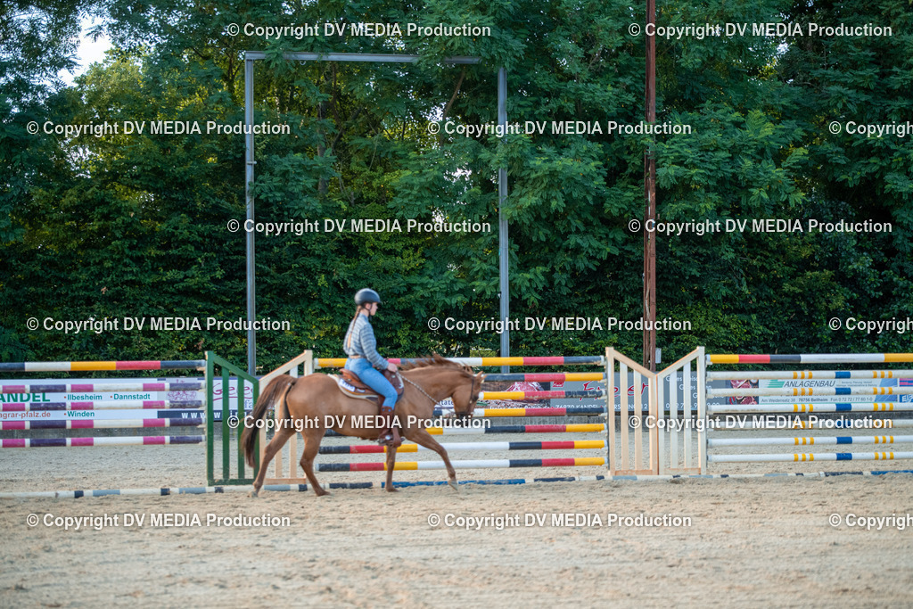 EWP_7309 | dv-media-shop - Realisiert mit Pictrs.com