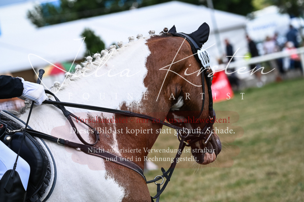 DSC_8564 | Pferde- und Turnierfotografie in Westsachsen. Pferdeportraits, Auftragszeichnungen und intuitive Kunst.