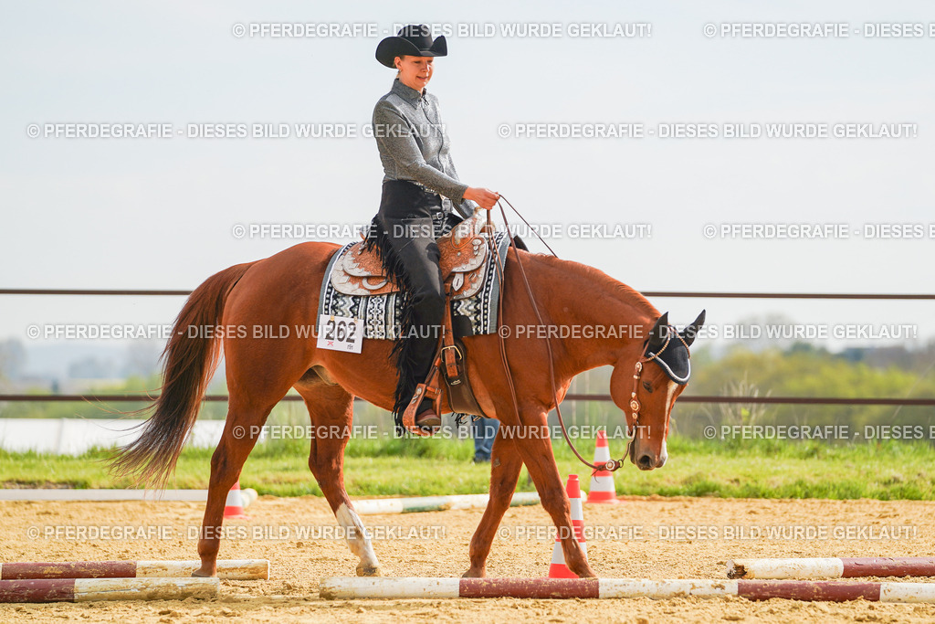 DSC01973 | Pferdegrafie