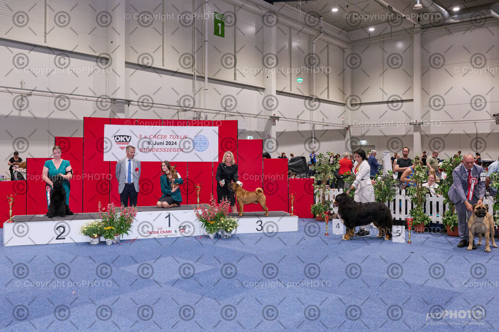 202406_ÖKV-IHA-Tulln24_NZ9_9501 | proPHOTO - Realisiert mit Pictrs.com