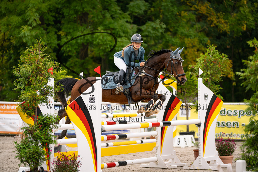 A7V09485 | Pferdefotograf