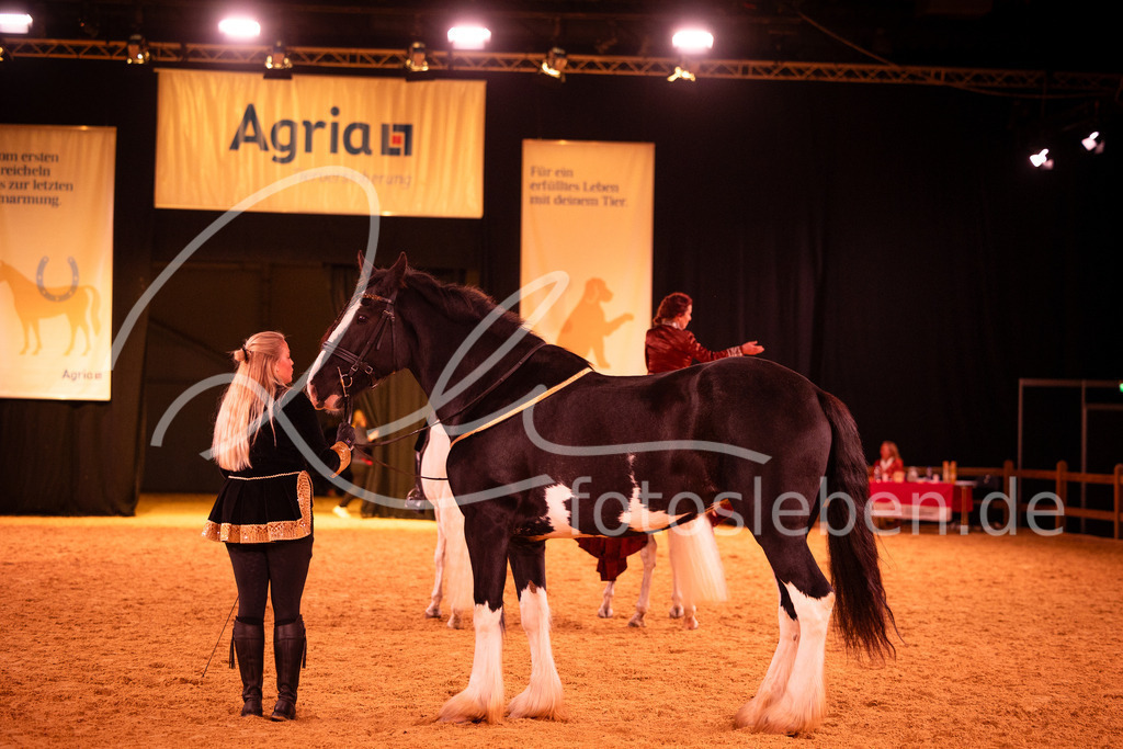 846A6306 | fotosleben - Realisiert mit Pictrs.com