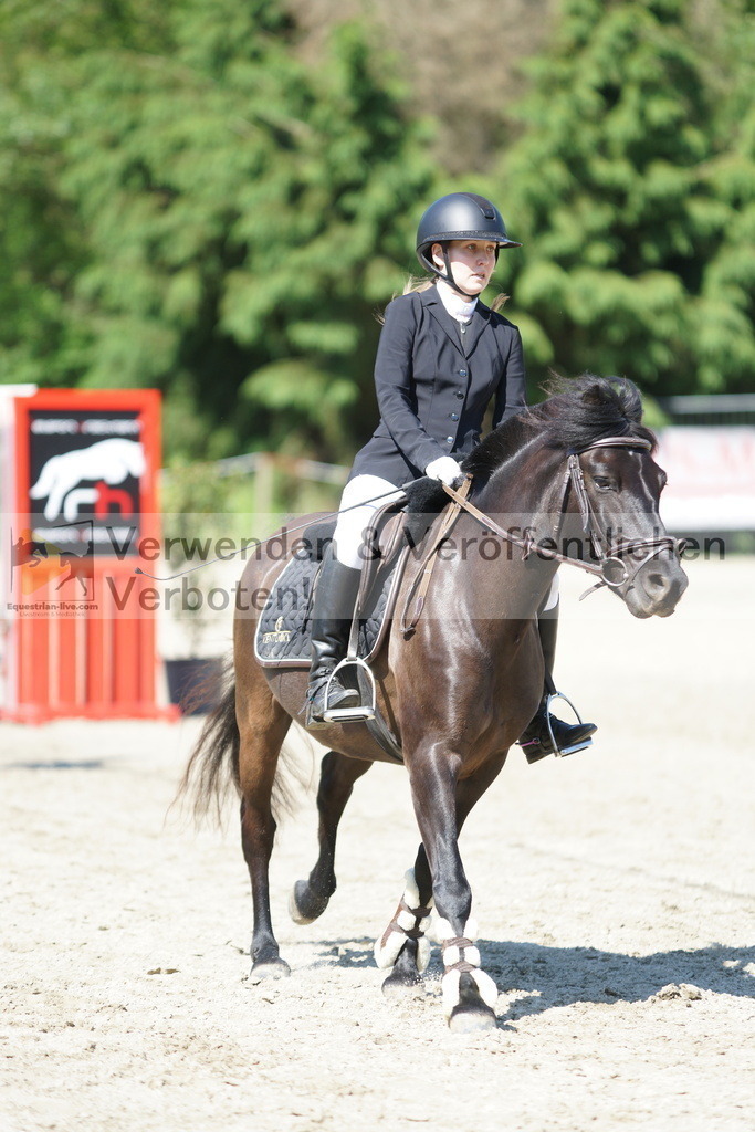 DSC06175 | equestrian-live-com