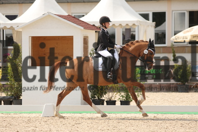 Winterlingen_2023_Prfg.Nr.22_Dressur_Kl.S_Nachwuchs-Tour_Mathilda Gerigk_DW_s Copyright (17) | Alle Fotos der Reiterjournal Fotografin Doris Matthaes im Reiterjournal Online-Fotoshop. - Realisiert mit Pictrs.com