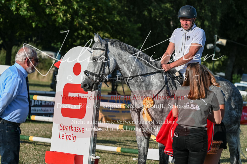 DSC_3172 | Pferde- und Turnierfotografie in Westsachsen. Pferdeportraits, Auftragszeichnungen und intuitive Kunst.