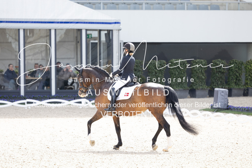 126A0431 | jasminmetznerfotografie