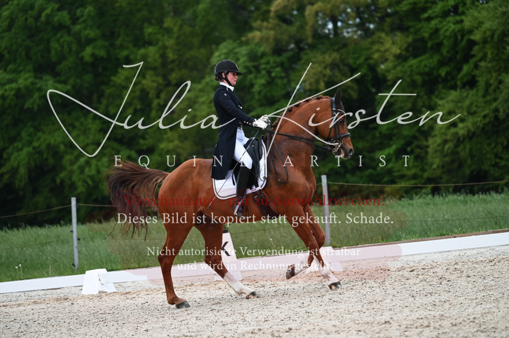 20230513_JK-Röhrsdorf-13-682 | Pferde- und Turnierfotografie in Westsachsen. Pferdeportraits, Auftragszeichnungen und intuitive Kunst.