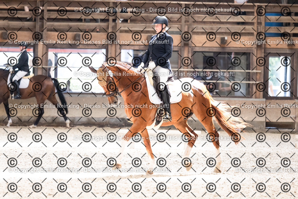 CL5A6021 | Emilia Reinking Fotografie - Realisiert mit Pictrs.com