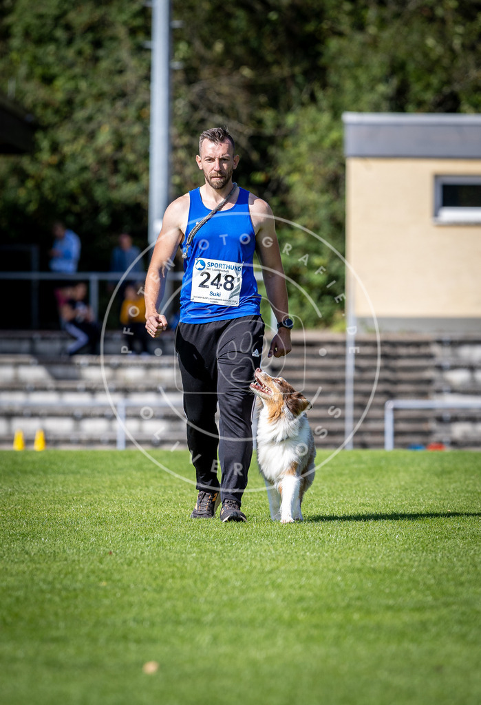 Pfotenfotografie_DV3A4963 | Hundefotografie, Tierfotograf, Pfotenfotografie, Fotoshooting Hund, Hunde Portrait, Hundesport, Hundeportraits, Heideshooting, Hunde, Sportfotograf, Hundefotograf, Turnierhundsport, THS,  - Realisiert mit Pictrs.com