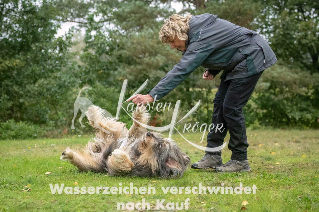 0951_ZZ90951-Bearbeitet | kk-dogfotos