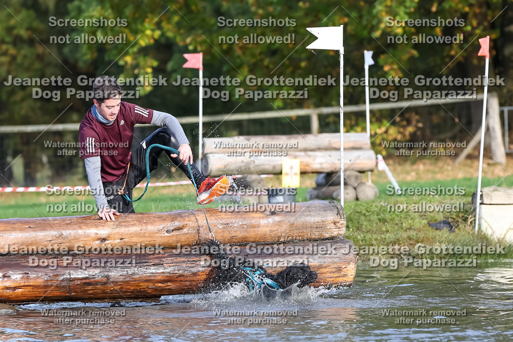 Dog Paparazzi - Strongdog 10-25-7069 | Dog Paparazzi Jeanette Grottendiek Fotografie & Videografie - Realisiert mit Pictrs.com